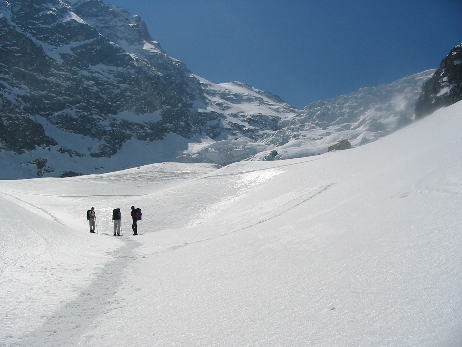 Begeleide wintertocht op sneeuwschoenen