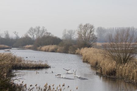 Wandeling in Diksmuide-Woumen (De Blankaart) op 26 april 2026