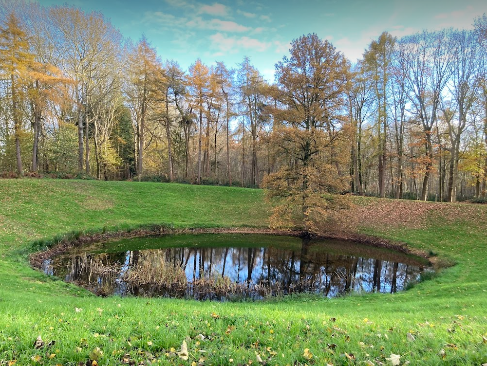 Wandeling in Hollebeke (Ieperboog) op 15 december 2024