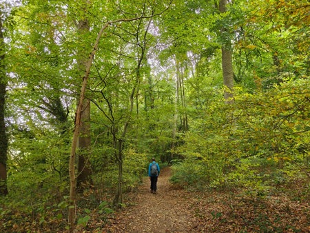 Wandelweekend in Lierde van 14 tot 16 november