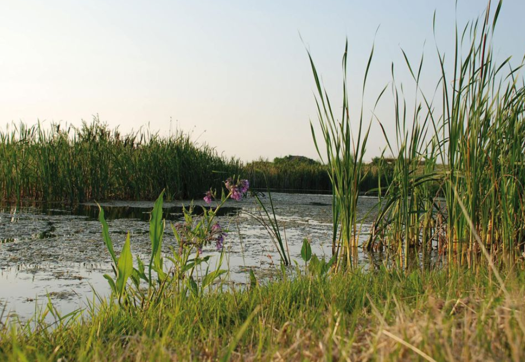 Wandelen 14/12/2025 : de groene gordel rond Kortrijk 